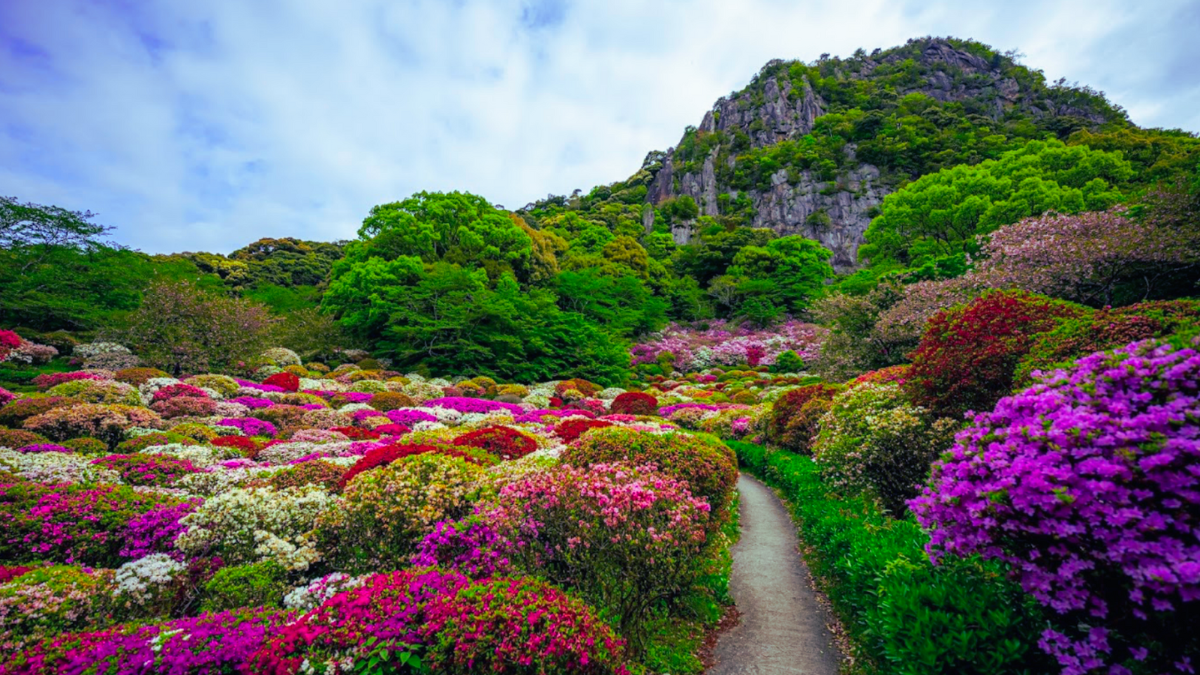 Kyushu & Hiroshima Fall Foliage