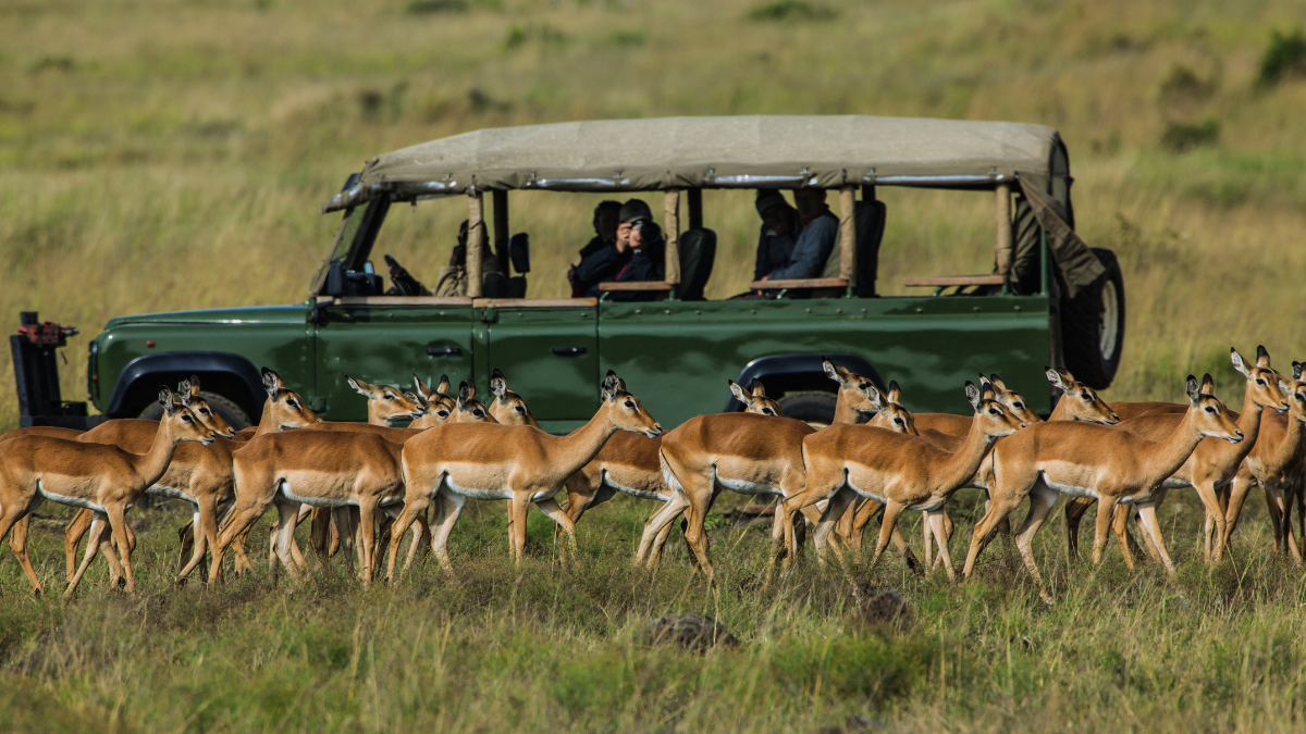 Kenya and Tanzania Safari Tour